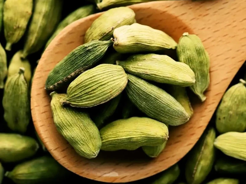 آشنایی با هل