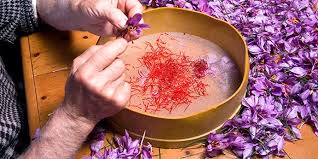 تشخیص زعفران اصل