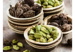 بهترین راهنمای خرید هل اصل + 4 نکته طلایی